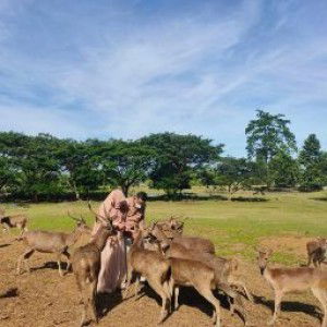 YULFARISNA YULFA profile icon