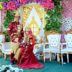 Pratiwi Ayu Ningtias profile icon