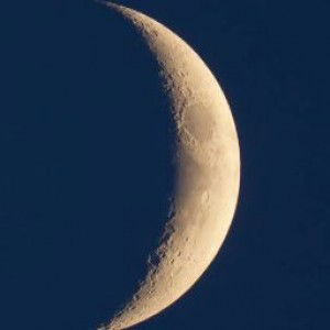 Crescent MoonLight profile icon
