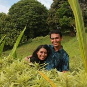 Emma Setiawati profile icon