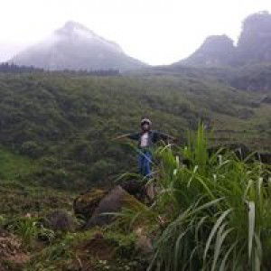 Mạc Thảo profile icon