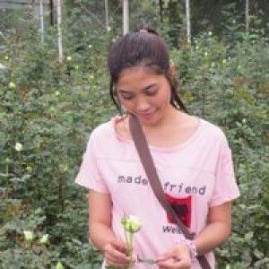 Thìn Lê profile icon