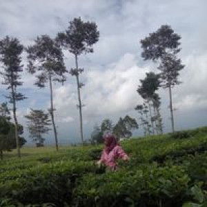 Eka SaJha profile icon