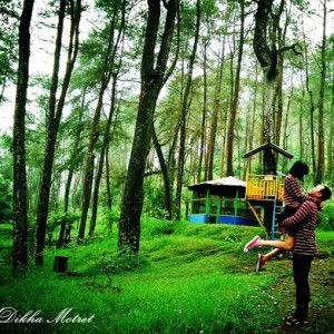 Rahel Dikha profile icon