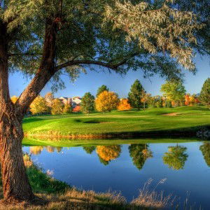 CAPTURED BY TALA profile icon