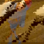 Jutamas Mk profile icon