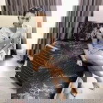 Mook Chayapha profile icon