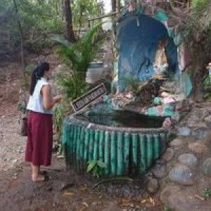 Ronielyn Tibus profile icon