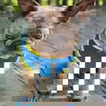 คีน เอริค profile icon