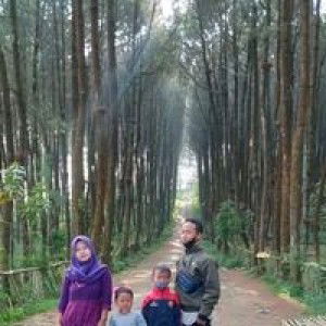 Ratna Safitri profile icon