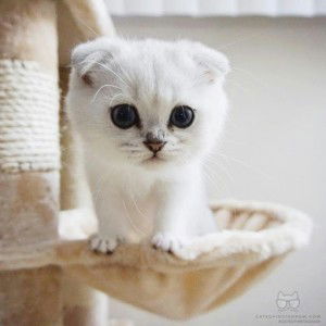 Ananda Putri Wahyuni profile icon