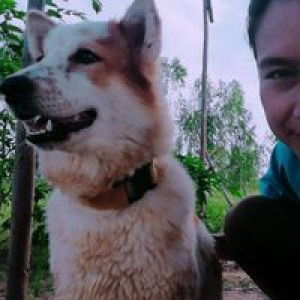 May May profile icon