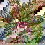 Eka Purnawan profile icon