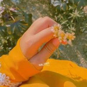 Venty Vie profile icon