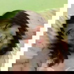 Alyssa Marie profile icon