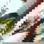 Ellene Ramo Dando profile icon