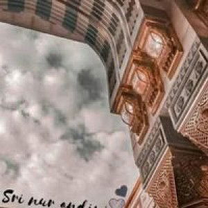 Sri Nur Andini profile icon