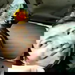 Butsalak Butmark profile icon