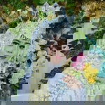 Emon Vikachu profile icon