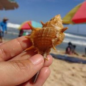 Aqila Azzahra Silva profile icon