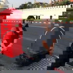 ปุ้มปุ้ย ปลากระป๋อง profile icon