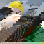 rahmi kurniaty profile icon