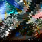 Gayathiri Chitra profile icon