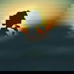 nurfit ribosom profile icon