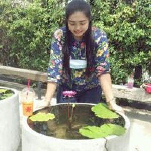 NhoNhoi Towanna profile icon