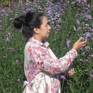 Nui Phichaya profile icon