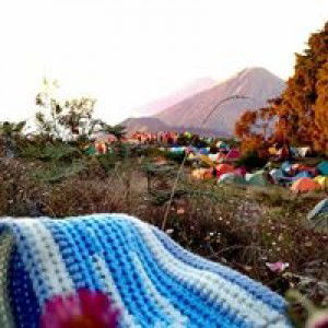 Diah Ayu Sayidatur R profile icon