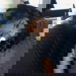 Talty'z Natthakarn profile icon