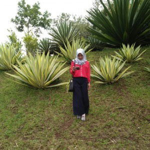 rohaeni profile icon