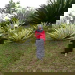 rohaeni profile icon