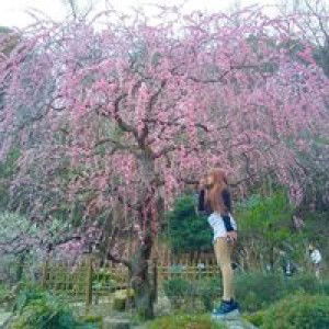 Aimy Chan profile icon