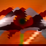 Annie Ajach profile icon