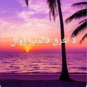 Zahid Zahid profile icon