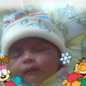 Ai Fauzia profile icon