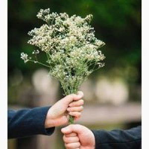 Nalniania profile icon