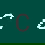 Cikkk Nana profile icon