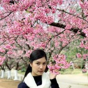 Jang Penprapa Sookjai profile icon