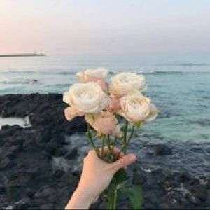 Rjs Cab Han profile icon