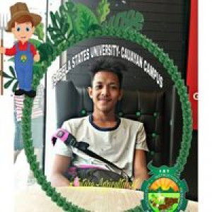 Gerome Flores Guitering profile icon