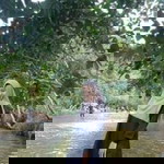 Lidra Mardius profile icon