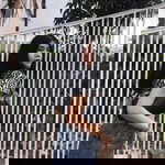 Natasa Thanjararak profile icon