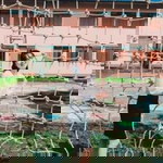 หยกมณี สีเขียว profile icon