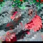 Dewi Sartika profile icon