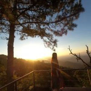 Nook Neon Ruechakorn Sejthawittaya profile icon