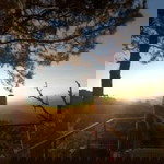 Nook Neon Ruechakorn Sejthawittaya profile icon