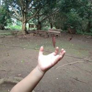 Anaid Eragal profile icon